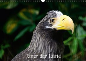 Jäger der Lüfte – Greifvögel aus Falknereien und Zoos (Wandkalender 2018 DIN A3 quer) von Widdmann,  Uwe