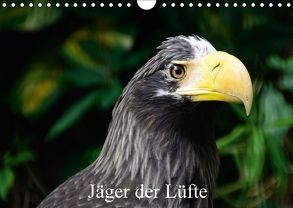 Jäger der Lüfte – Greifvögel aus Falknereien und Zoos (Wandkalender 2018 DIN A4 quer) von Widdmann,  Uwe