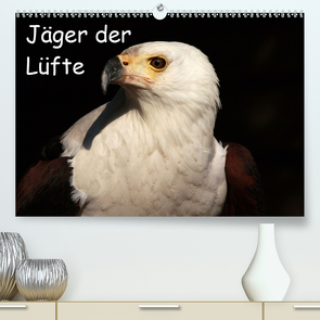 Jäger der Lüfte (Premium, hochwertiger DIN A2 Wandkalender 2020, Kunstdruck in Hochglanz) von Klatt,  Arno