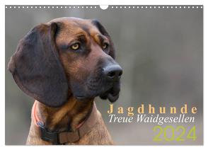 Jagdhunde – Treue Waidgesellen (Wandkalender 2024 DIN A3 quer), CALVENDO Monatskalender von Gerlach,  Nadine