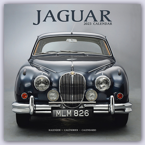 Jaguar 2023 – 16-Monatskalender