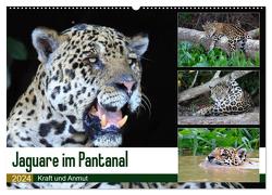 Jaguare im Pantanal (Wandkalender 2024 DIN A2 quer), CALVENDO Monatskalender von und Michael Herzog,  Yvonne