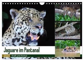 Jaguare im Pantanal (Wandkalender 2024 DIN A4 quer), CALVENDO Monatskalender von und Michael Herzog,  Yvonne