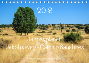 Jahresplaner Jakobsweg – Camino Sanabres (Tischkalender 2019 DIN A5 quer) von Luef,  Alexandra