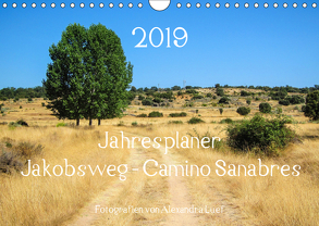 Jahresplaner Jakobsweg – Camino Sanabres (Wandkalender 2019 DIN A4 quer) von Luef,  Alexandra