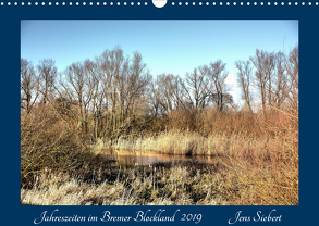 Jahreszeiten im Bremer Blockland (Wandkalender 2019 DIN A3 quer) von Siebert,  Jens