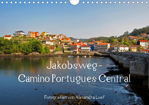 Jakobsweg – Camino Portugues Central (Wandkalender 2020 DIN A4 quer) von Luef,  Alexandra