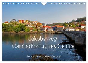 Jakobsweg – Camino Portugues Central (Wandkalender 2024 DIN A4 quer), CALVENDO Monatskalender von Luef,  Alexandra
