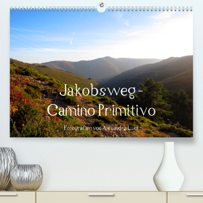 Jakobsweg – Camino Primitivo (Premium, hochwertiger DIN A2 Wandkalender 2023, Kunstdruck in Hochglanz) von Luef,  Alexandra