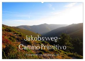Jakobsweg – Camino Primitivo (Wandkalender 2024 DIN A2 quer), CALVENDO Monatskalender von Luef,  Alexandra