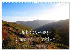Jakobsweg – Camino Primitivo (Wandkalender 2024 DIN A3 quer), CALVENDO Monatskalender von Luef,  Alexandra