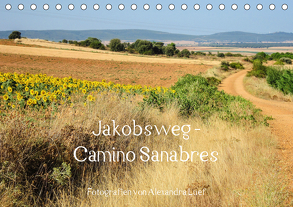 Jakobsweg – Camino Sanabres (Tischkalender 2020 DIN A5 quer) von Luef,  Alexandra