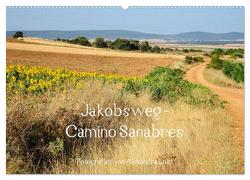 Jakobsweg – Camino Sanabres (Wandkalender 2024 DIN A2 quer), CALVENDO Monatskalender von Luef,  Alexandra