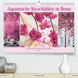 Japanische Kirschblüte in Bonn (Premium, hochwertiger DIN A2 Wandkalender 2023, Kunstdruck in Hochglanz) von Balzer,  Tatjana