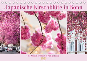 Japanische Kirschblüte in Bonn (Tischkalender 2023 DIN A5 quer) von Balzer,  Tatjana