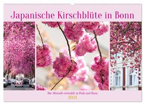 Japanische Kirschblüte in Bonn (Wandkalender 2024 DIN A2 quer), CALVENDO Monatskalender von Balzer,  Tatjana