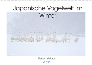 Japanische Vogelwelt im Winter (Wandkalender 2022 DIN A2 quer) von Vollborn,  Marion