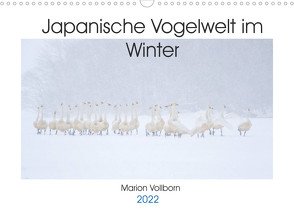 Japanische Vogelwelt im Winter (Wandkalender 2022 DIN A3 quer) von Vollborn,  Marion