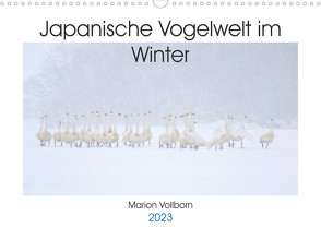 Japanische Vogelwelt im Winter (Wandkalender 2023 DIN A3 quer) von Vollborn,  Marion