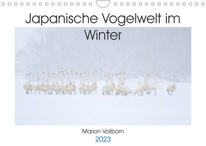 Japanische Vogelwelt im Winter (Wandkalender 2023 DIN A4 quer) von Vollborn,  Marion