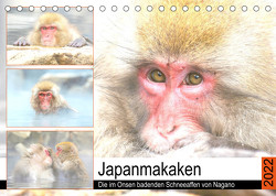 Japanmakaken. Die im Onsen badenden Schneeaffen von Nagano (Tischkalender 2022 DIN A5 quer) von Hurley,  Rose