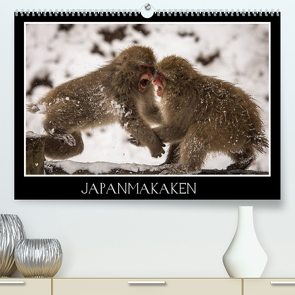 Japanmakaken (Premium, hochwertiger DIN A2 Wandkalender 2022, Kunstdruck in Hochglanz) von Schwarz Fotografie,  Thomas