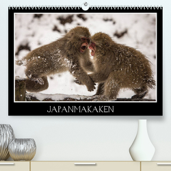 Japanmakaken (Premium, hochwertiger DIN A2 Wandkalender 2023, Kunstdruck in Hochglanz) von Schwarz Fotografie,  Thomas
