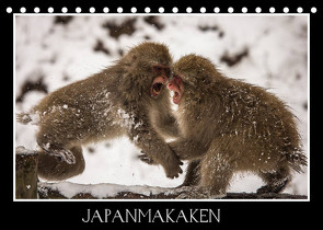 Japanmakaken (Tischkalender 2022 DIN A5 quer) von Schwarz Fotografie,  Thomas