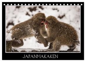 Japanmakaken (Tischkalender 2024 DIN A5 quer), CALVENDO Monatskalender von Schwarz Fotografie,  Thomas