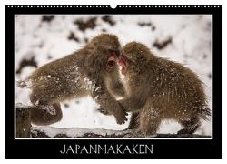 Japanmakaken (Wandkalender 2024 DIN A2 quer), CALVENDO Monatskalender von Schwarz Fotografie,  Thomas