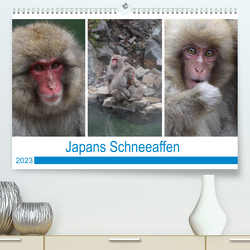 Japans Schneeaffen (Premium, hochwertiger DIN A2 Wandkalender 2023, Kunstdruck in Hochglanz) von Reeh