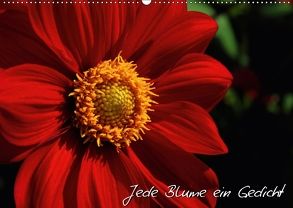 Jede Blume ein Gedicht (Wandkalender 2018 DIN A2 quer) von Mantke,  Michael