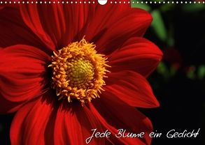 Jede Blume ein Gedicht (Wandkalender 2018 DIN A3 quer) von Mantke,  Michael