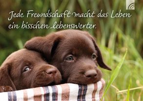 Jede Freundschaft macht das Leben ein bisschen lebenswerter.