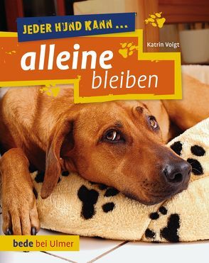 Jeder Hund kann alleine bleiben von Voigt,  Dr. Katrin