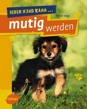 Jeder Hund kann mutig werden von Voigt,  Katrin