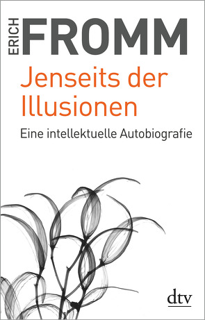 Jenseits der Illusionen von Fromm,  Erich, Mickel,  Ernst, Mickel,  Liselotte