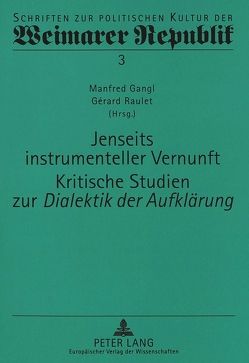 Jenseits instrumenteller Vernunft- Kritische Studien zur «Dialektik der Aufklärung» von Gangl,  Manfred, Raulet,  Gérard