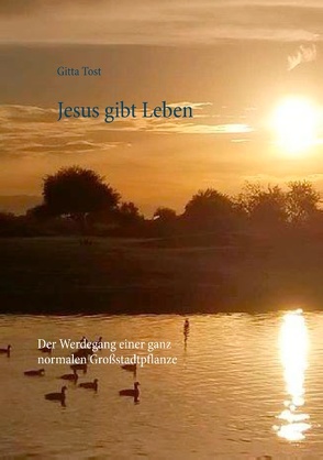 Jesus gibt Leben von Tost,  Gitta