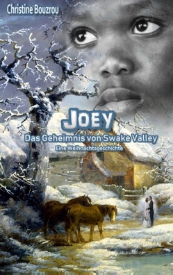Joey-Das Geheimnis von Swake Valley von Bouzrou,  Christine