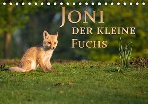 Joni, der kleine Fuchs (Tischkalender 2018 DIN A5 quer) von Zerletti,  Marcello