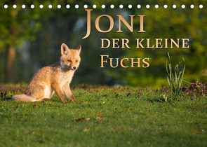 Joni, der kleine Fuchs (Tischkalender 2022 DIN A5 quer) von Zerletti,  Marcello