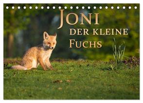 Joni, der kleine Fuchs (Tischkalender 2024 DIN A5 quer), CALVENDO Monatskalender von Zerletti,  Marcello