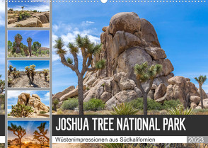 JOSHUA TREE NATIONAL PARK Wüstenimpressionen aus Südkalifornien (Wandkalender 2023 DIN A2 quer) von Viola,  Melanie