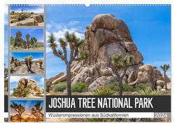 JOSHUA TREE NATIONAL PARK Wüstenimpressionen aus Südkalifornien (Wandkalender 2024 DIN A2 quer), CALVENDO Monatskalender von Viola,  Melanie