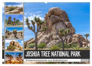 JOSHUA TREE NATIONAL PARK Wüstenimpressionen aus Südkalifornien (Wandkalender 2024 DIN A2 quer), CALVENDO Monatskalender von Viola,  Melanie