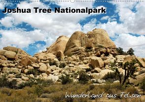 Joshua Tree Nationalpark – Wunderland aus Felsen (Wandkalender 2020 DIN A2 quer) von Mantke,  Michael