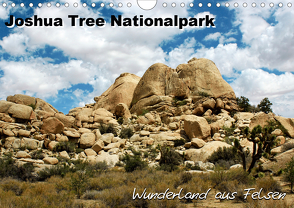 Joshua Tree Nationalpark – Wunderland aus Felsen (Wandkalender 2020 DIN A4 quer) von Mantke,  Michael