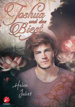 Joshua und das Biest von Juliet,  Helen, Sommerfeld,  Anne