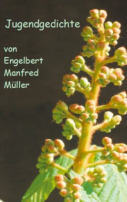 Jugendgedichte von Müller,  Engelbert Manfred